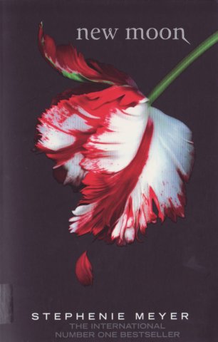 photo256.jpg
