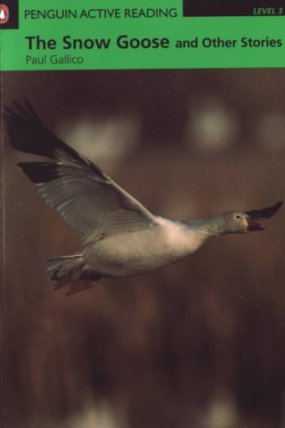 photo47.jpg